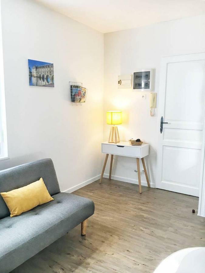 Appartement T2 Cocooning + Salle de sport Privée à Montrichard Extérieur photo